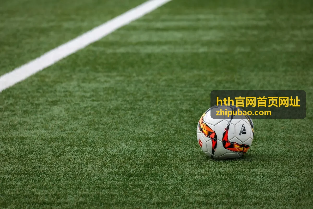 hth官网首页网址登录页来源与授权范围确认